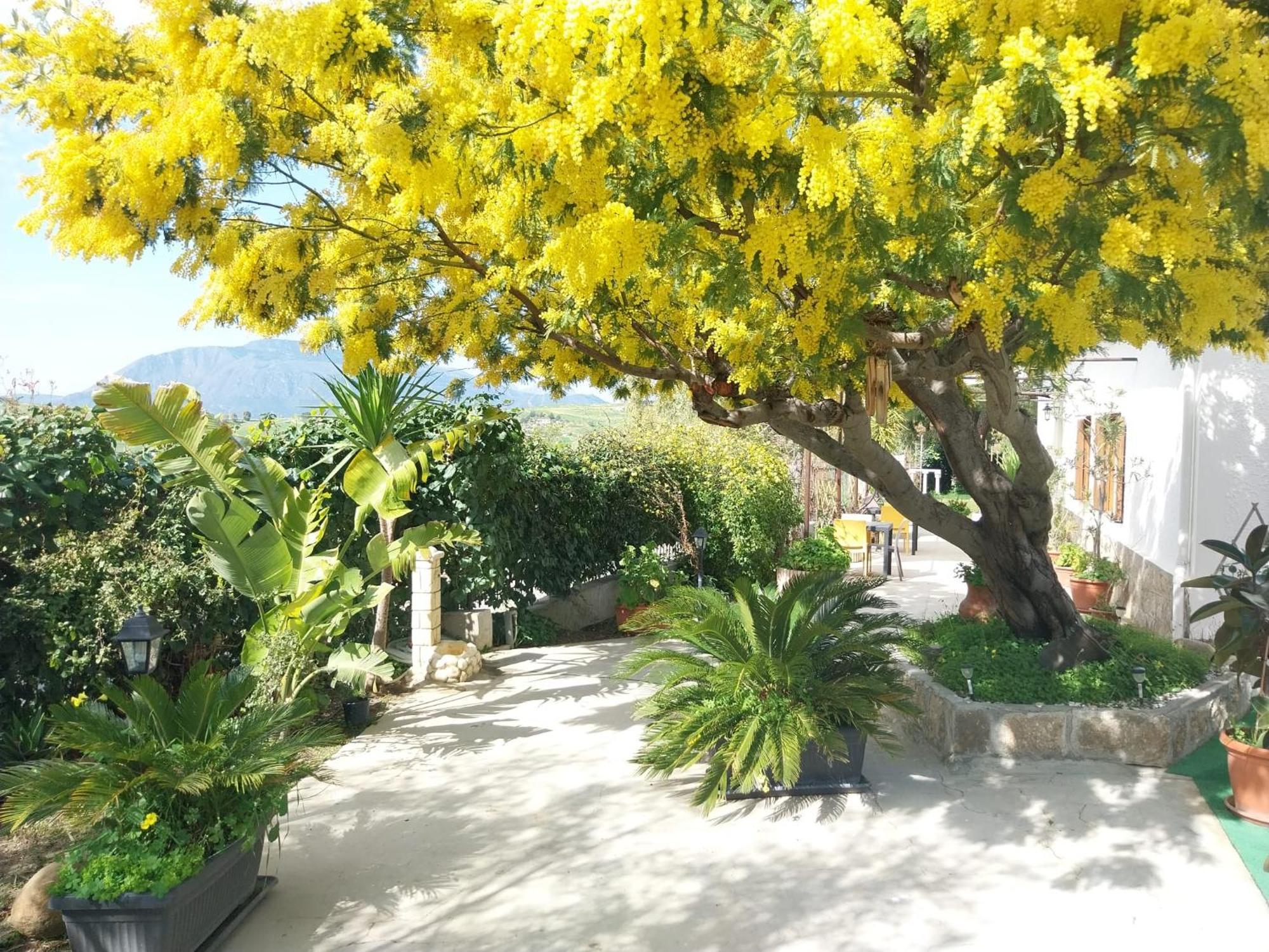 Casa Lachesi Caccamo المظهر الخارجي الصورة